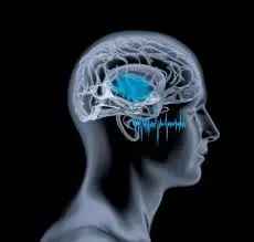 What is  The Edison Wave ?